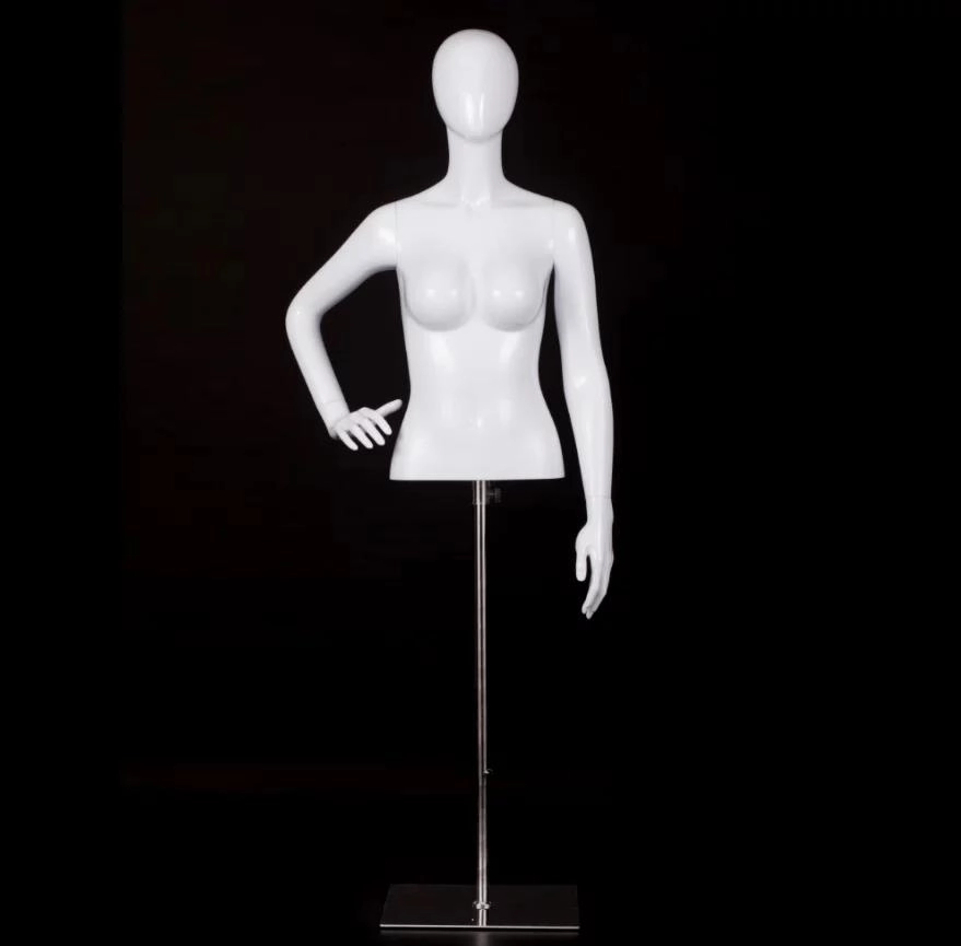 نموذج نصف شخصية للإناث (الهيكل الداعم)